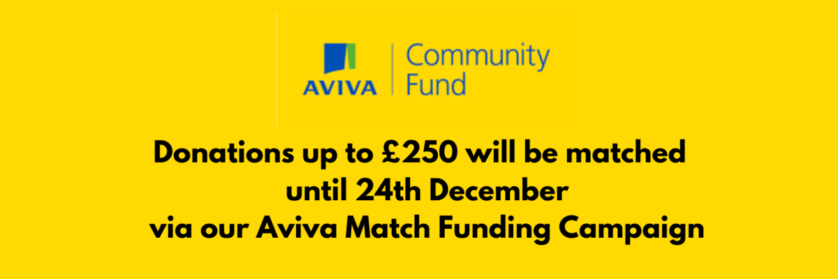 Aviva Community Fund