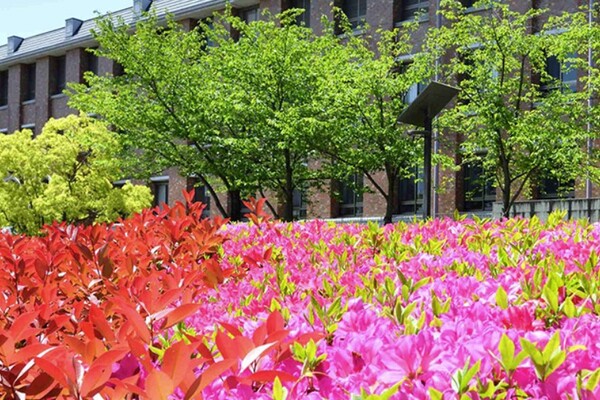 Kansai university buidling with flowers in foreground