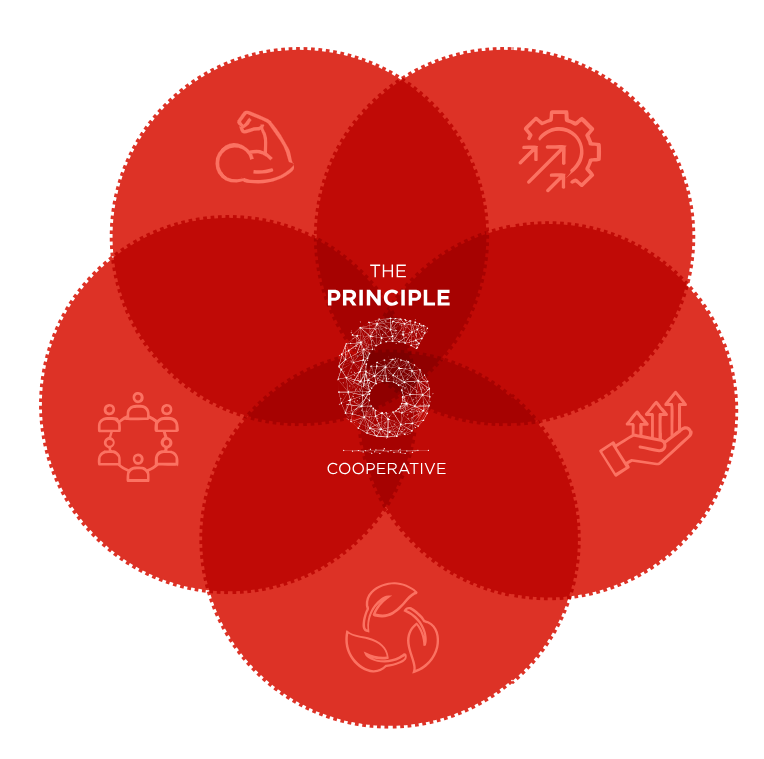 Principle 6 objectives diagram