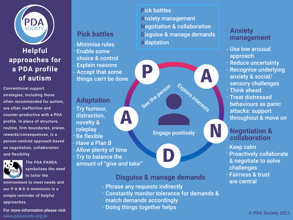PANDA infographic 