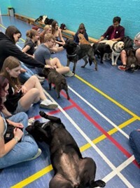 Picture of therapy dogs with uni students