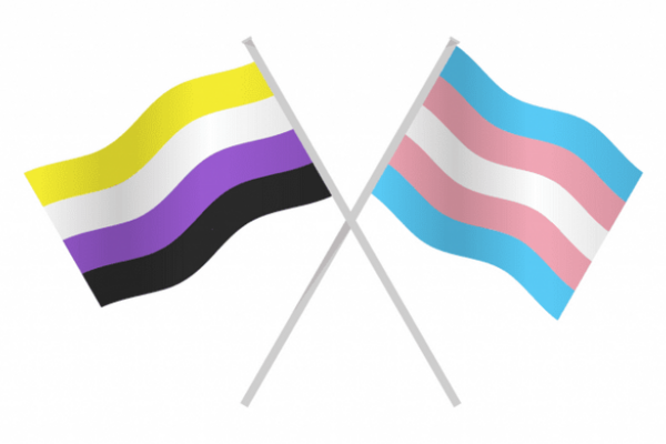 Trans and non-binary flags crossed