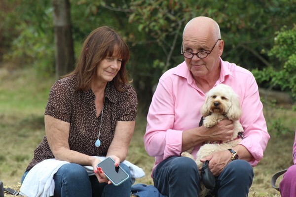 The Dog Show